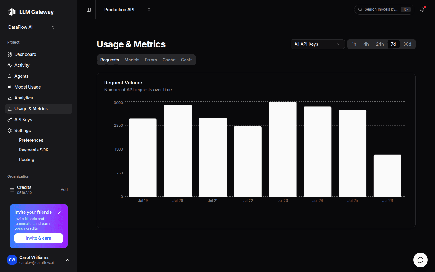 DigitSpace usage and metrics charts